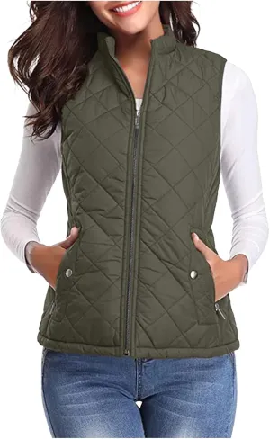 Fashion Quilted Vest Coats Sleeveless Puffer Jacket for Women Down Cotton Wadded Waistcoat with Pockets