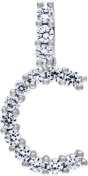 JewelryWeb 925 Sterling Silver Unisex CZ Simulated Diamond Letter Name Personalized Monogram Initial Alphabet C Charm Pendant Necklace 29.6mm Long-Pendant for Women