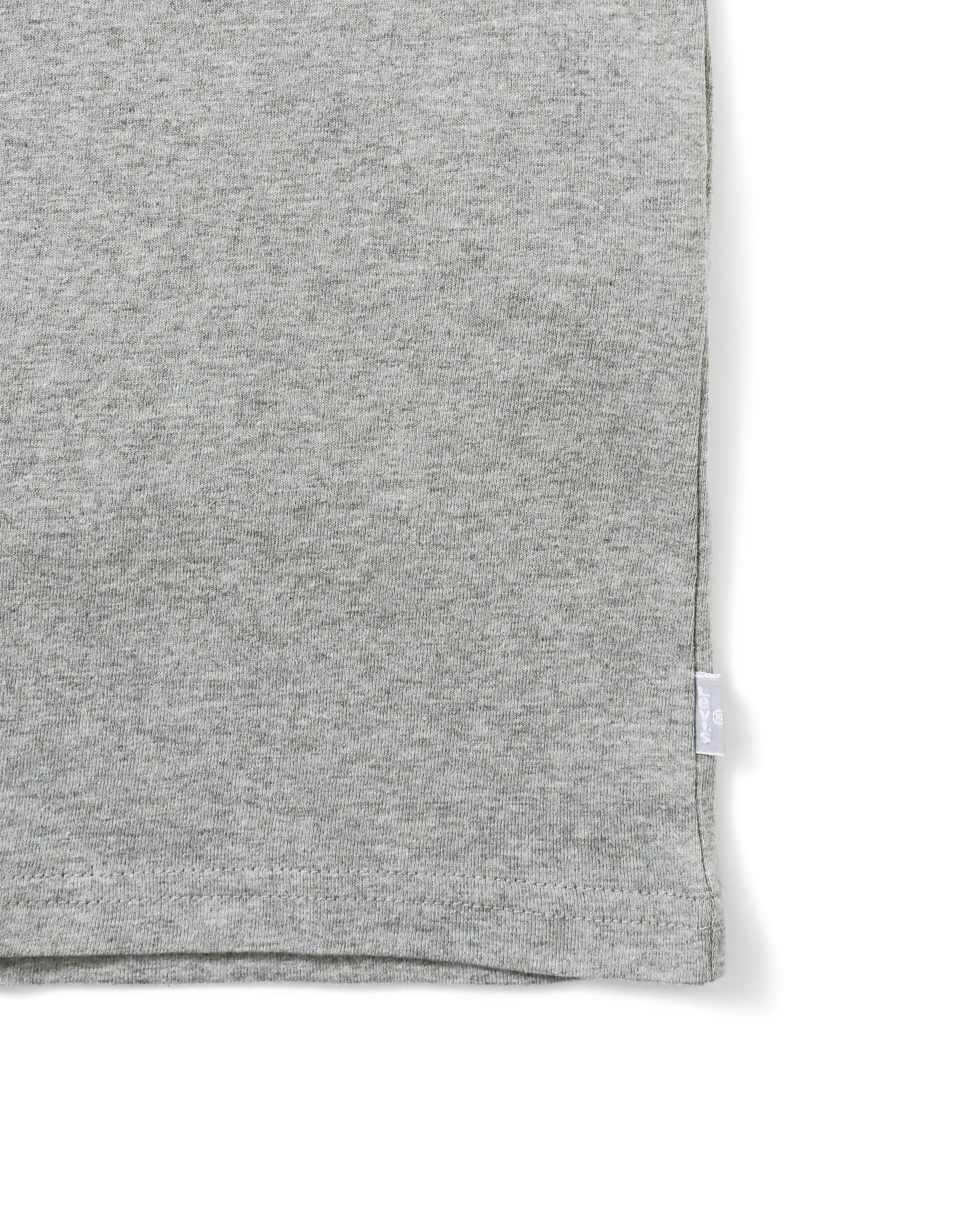 SILVER TAB / SS RELAXED FIT TEE POLAROID (MEN)